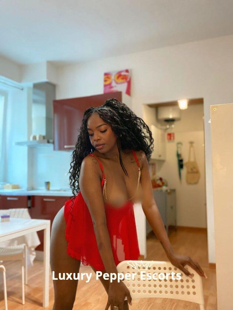 photo_5012535557137477559_y